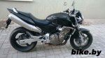 Honda CB600 photo 1