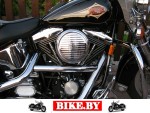 Harley-Davidson FLHTC photo 6