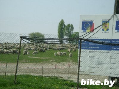 Румыния