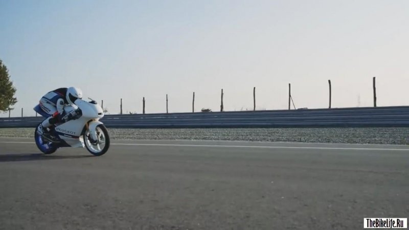        Moto3