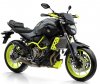  . Yamaha MT-07 Moto Cage  