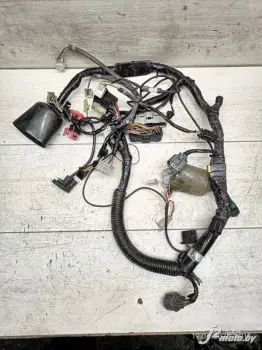 Проводка в сборе Honda CBR600F4i
