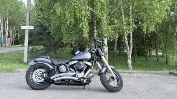 Harley-Davidson Softail Slim, 2015 г.