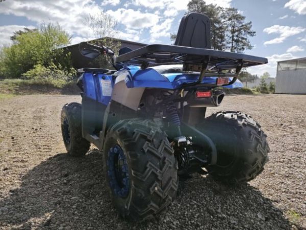 Motoland Wild Track 200 LUX, 2025 г.