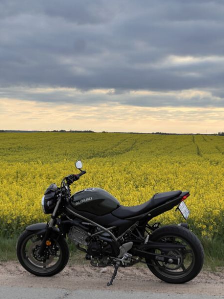 Suzuki SV SV650A, 2022 г.