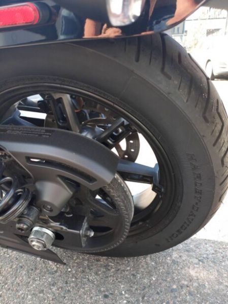 Harley-Davidson Nightster, 2023 г.