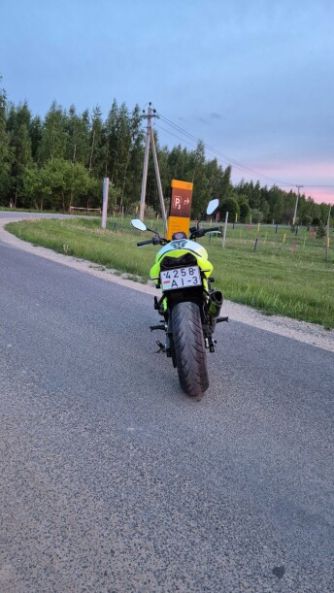 Kawasaki Z, 2004 г.