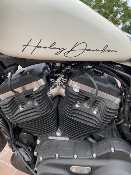 Harley-Davidson Sportster XL883N, 2019 г.