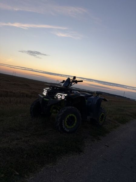 Motoland 200 Wild Track, 2024 г.