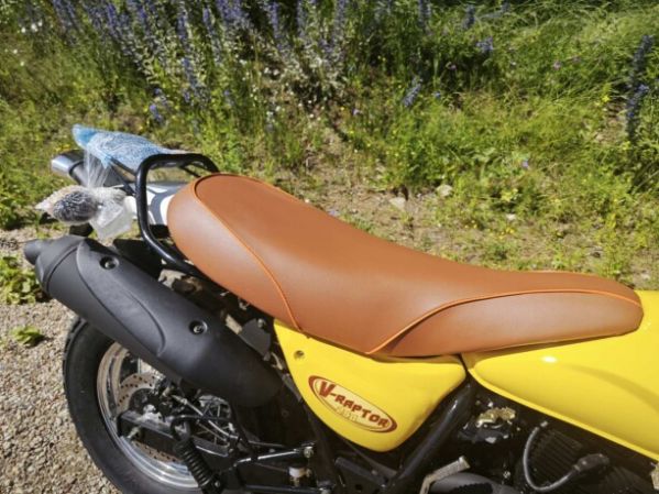 Motoland V-Raptor 250, 2026 г.