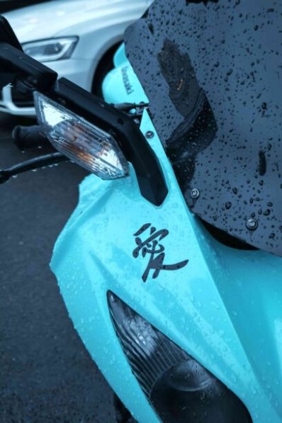 Kawasaki ZX ZX-10R, 2010 г.