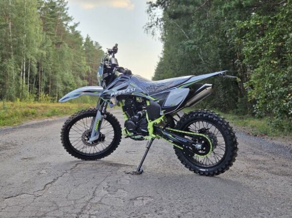 Progasi PALMA 250 NG, 2026 г.