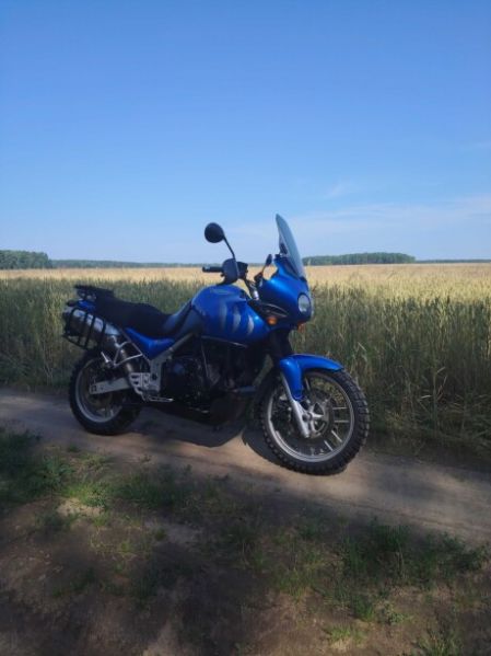 Triumph Tiger 955i, 2006 г.