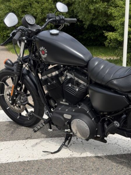Harley-Davidson Sportster, 2019 г.