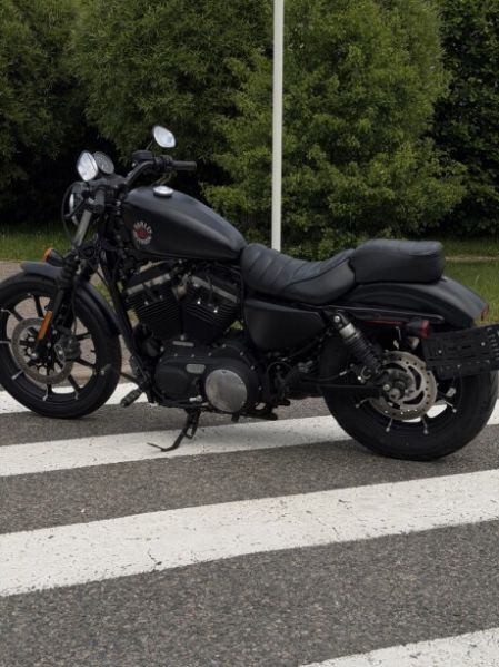 Harley-Davidson Sportster, 2019 г.