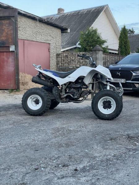 Irbis 250s, 2019 г.
