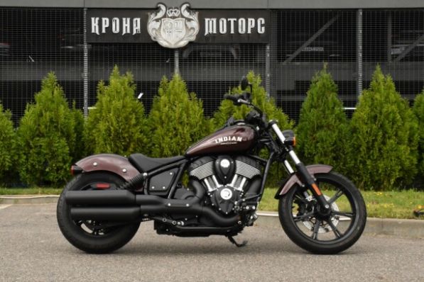 Indian Chief, 2023 г.