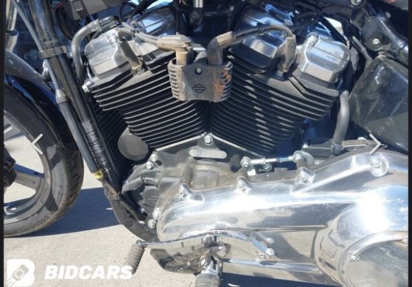 Harley-Davidson Softail FXST, 2023 г.