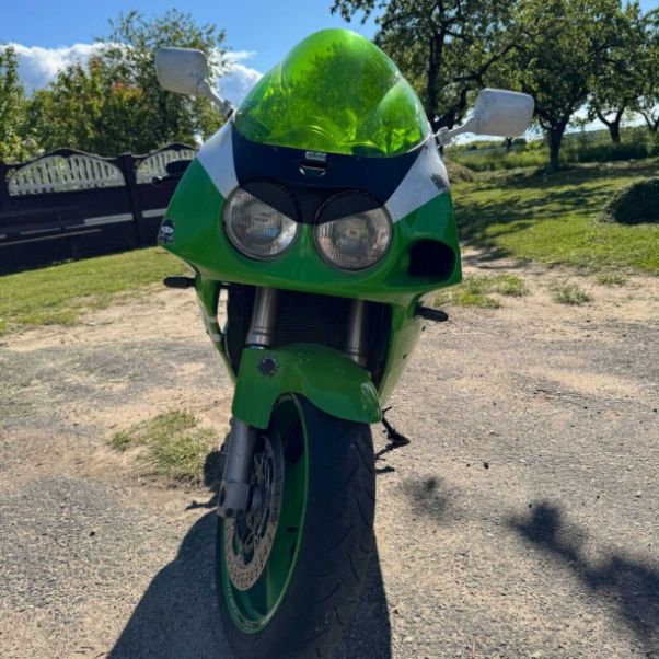 Kawasaki ZXR, 1995 г.