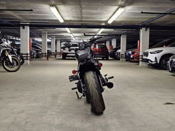 Harley-Davidson Fat Bob, 2019 г.