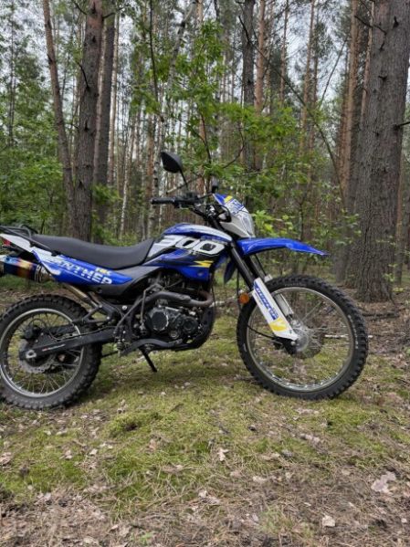 Racer Panther, 2019 г.