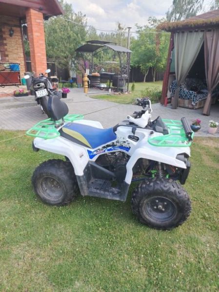 Motoland Shark Motolend schark 200, 2024 г.