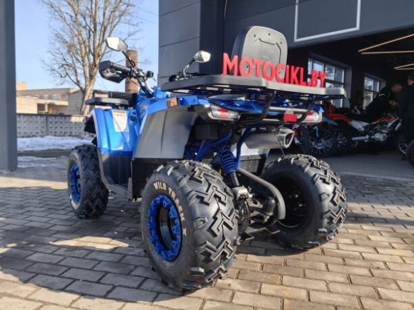 Motoland Wild Track 200 X WINCH, 2025 г.