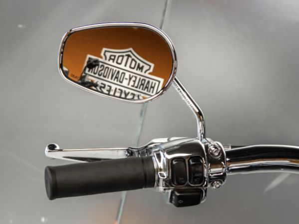 Harley-Davidson Softail Deluxe FLSTNI, 2006 г.