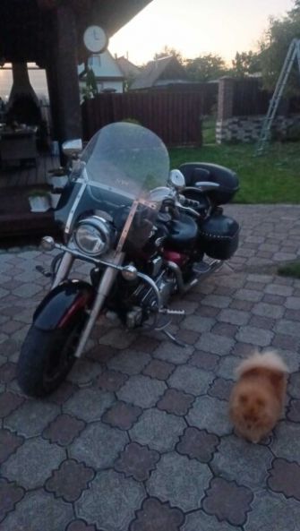 Yamaha XV, 2003 г.