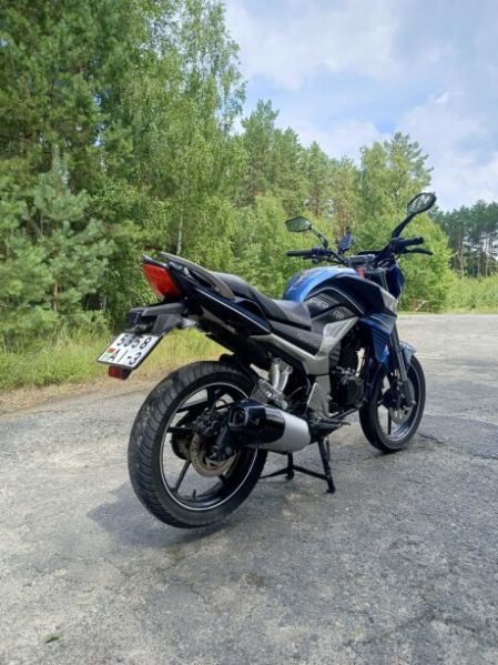 Racer Fighter RC 300 CK-N, 2024 г.