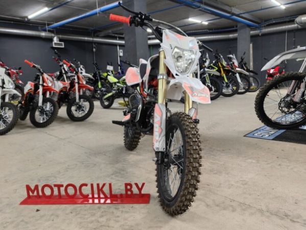 Motoland 110 APEX10 E 14/12, 2026 г.
