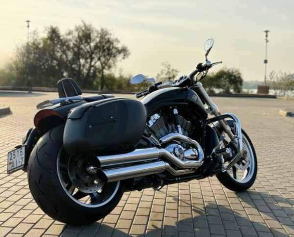 Harley-Davidson V-Rod Muscle 300!, 2016 г.