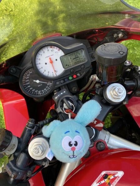 Honda VTR, 2001 г.
