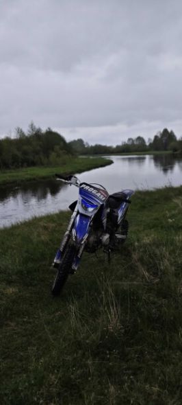 Progasi SMART 125, 2024 г.