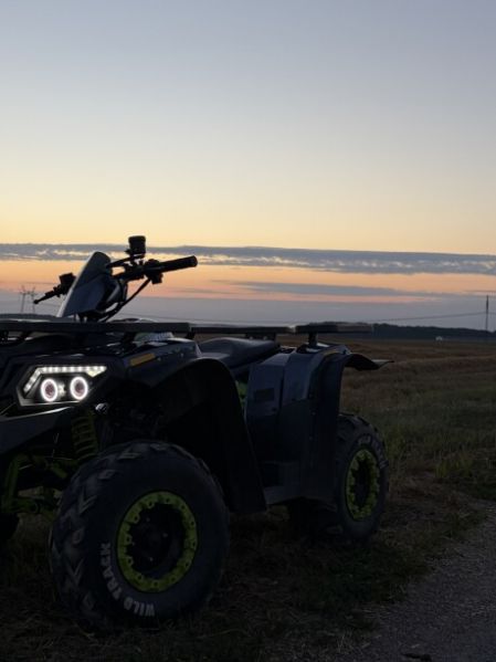 Motoland 200 Wild Track, 2024 г.