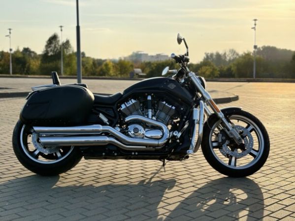 Harley-Davidson V-Rod Muscle 300!, 2016 г.