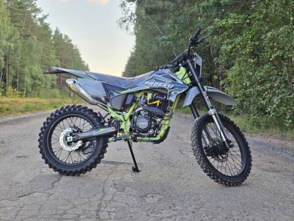 Progasi PALMA 250 NG, 2026 г.