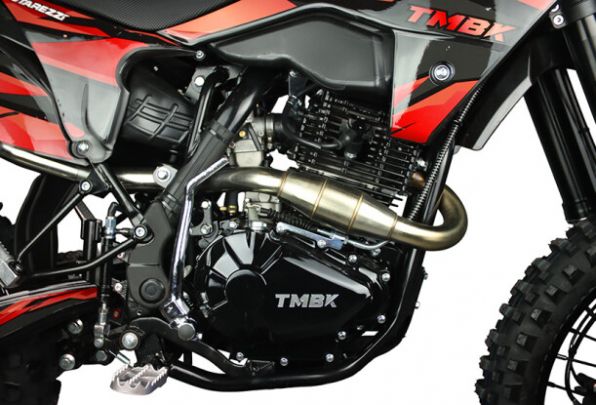 TMBK ENVY 300 PRO, 2026 г.
