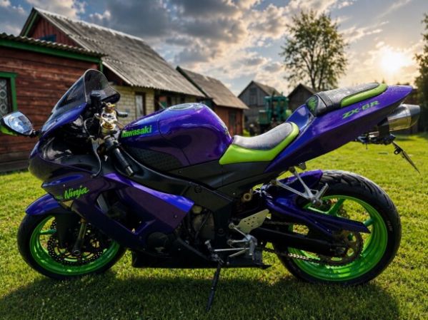 Kawasaki ZXR, 2005 г.