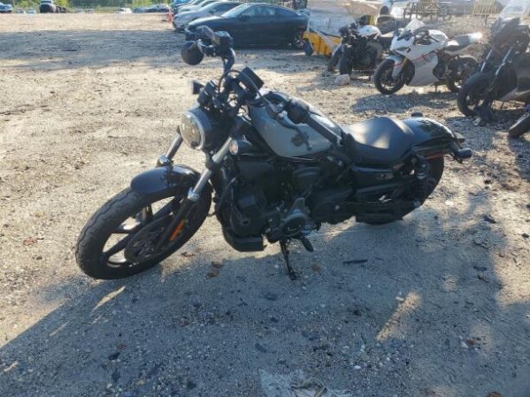 Harley-Davidson Street RH975, 2024 г.
