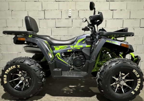 Motoland Wild Track 200 X PRO, 2025 г.