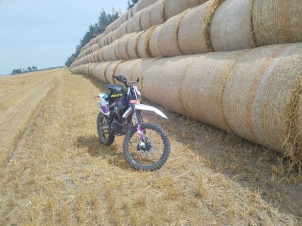 Progasi SUPER MAX 250, 2024 г.
