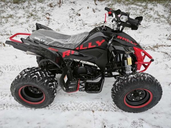 Motoland VOX 250 RALLY, 2025 г.
