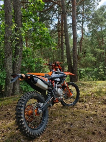 Progasi Hardcore 450, 2024 г.