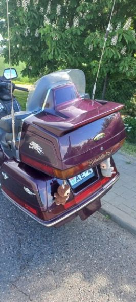 Honda Gold Wing, 1994 г.