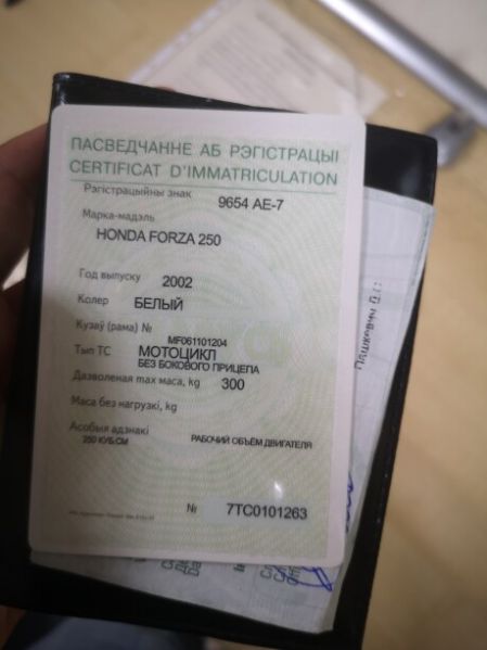 Honda Forza, 2002 г.