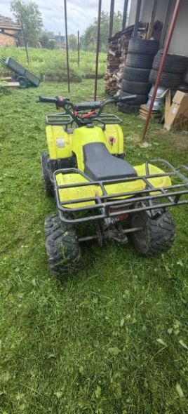 CFMOTO CForce, 2020 г.