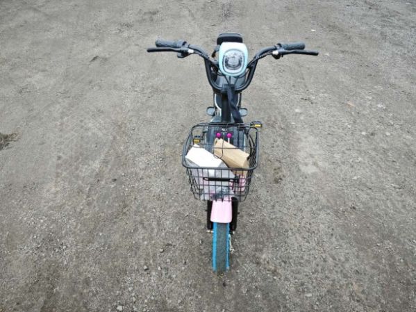 Citycoco Е1 RUN SPORT, 2024 г.