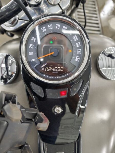 Harley-Davidson Softail Heritage Classic 114, 2018 г.
