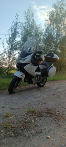 Honda NT, 2008 г.